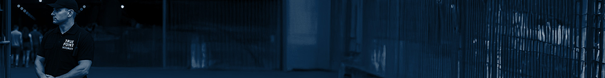Truepoint Security